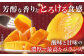 【訳あり マンゴー】プリンセス マンゴー 約1kg マンゴー 訳あり