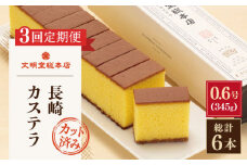 【全3回定期便】「こだわりの逸品」長崎 カステラ  [1.2号] 計6本（0.6号10切入×2本入/回）【文明堂総本店】 [QAU020] お菓子 スイーツ 洋菓子 贈答 3万円 30000円