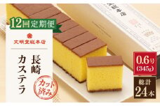 【全12回定期便】「こだわりの逸品」長崎 カステラ  [1.2号] 計24本（0.6号10切入×2本入/回）【文明堂総本店】 [QAU022] お菓子 スイーツ 洋菓子 贈答 11万8千円 118000円
