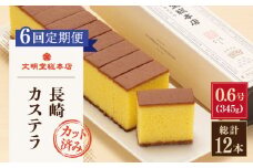 【全6回定期便】「こだわりの逸品」長崎 カステラ [1.2号] 計12本（0.6号10切入×2本入/回）【文明堂総本店】 [QAU021] お菓子 スイーツ 洋菓子 贈答 5万9千円 59000円