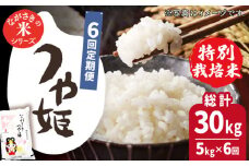 【全6回定期便】【甘みと旨みのお米】長崎県産米 （つや姫） 計30kg （5kg×6回）【ながさき西海農業協同組合】 [QAZ017] / 長崎県 佐々町