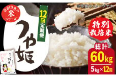 【全12回定期便】【甘みと旨みのお米】長崎県産米 （つや姫） 計60kg （5kg×12回）【ながさき西海農業協同組合】 [QAZ018] / 長崎県 佐々町