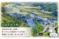 【希少部位】長崎和牛 ヒレ ステーキ ステーキ 和牛 ヒレステーキ ヒレ 厚切り 牛肉 ヒレ ステーキ ヒレ肉