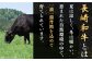 【ヘルシーにお肉を楽しむ♪】 長崎和牛 赤身 切り落とし モモ 和牛 もも肉 計1.0kg