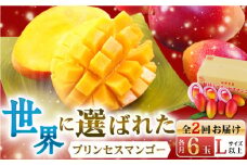【数量限定・全2回定期便】【先行予約】プリンセス マンゴー オーナー制度 （ハーフプラン） 計12個 完熟マンゴー 高品質マンゴー まんごー【堀内フルーツファーム】 [QAT011] / 長崎県 佐々町