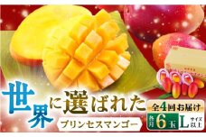 【数量限定・全4回定期便】【先行予約】プリンセス マンゴー オーナー制度 （マイオーナープラン） 計24個 完熟マンゴー 高品質マンゴー まんごー 20万円 200000円【堀内フルーツファーム】 [QAT012] / 長崎県 佐々町