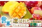 世界に選ばれたプリンセスマンゴー