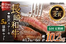 【全6回定期便】「希少部位 食べ比べ 」長崎和牛 贅沢 ステーキ 5種 堪能セット 計10.2kg （約1.7kg/回）【黒牛】 [QBD069]  ヒレ サーロイン シャトーブリアン 86万4千円 864000円