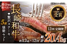 【全12回定期便】「希少部位 食べ比べ 」長崎和牛 贅沢 ステーキ 5種 堪能セット 計20.4kg （約1.7kg/回）【黒牛】 [QBD070] ヒレ サーロイン シャトーブリアン 178万2千円 1728000円