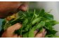 有機栽培茶 ほうじ茶 （100g×5本）ほうじ茶 有機栽培 ほうじ茶 お茶 お茶 有機栽培 ほうじ茶 お茶 ほうじ茶 ほうじ茶