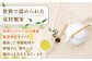 【花粉の季節に】 有機栽培茶 べにふうき 粉末タイプ （30g×3）【北村茶園・茶の間】 [QAD044]