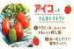 トマト とまと トマト フルーツトマト 野菜 人気 贈答 ギフト プレゼント