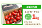 トマト とまと トマト フルーツトマト 野菜 人気 贈答 ギフト プレゼント