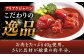 ビーフシチューとビーフカレー 計10食 ビーフシチュー レトルト食品 ビーフカレー レトルト ビーフカレー レトルト食品 大人気