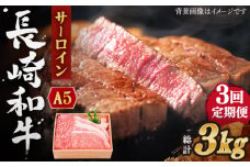 【全3回定期便】長崎和牛 サーロイン ステーキ 総計3.0kg （1.0kg/回）【株式会社 OGAWA】 [QBI012] 牛肉 和牛 焼き肉 バーベキュー / 長崎県 佐々町
