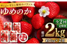 【先行予約・全2回定期便・1,2月発送】佐々町産 いちご 「ゆめのか」約1.0kg （250g×4パック）/回 （総量計2.0kg）【市丸農園 いちご研究室】 [QBF002] / 長崎県 佐々町