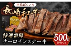 長崎和牛「出島ばらいろ」特選霜降 サーロインステーキたっぷり約500g【合同会社肉のマルシン】 [QBN008]