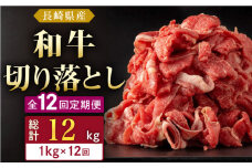 【全12回定期便】長崎県産 和牛 切り落とし 1kg(500g×2パック)  【合同会社肉のマルシン】 [QBN039]