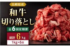 【全6回定期便】長崎県産 和牛 切り落とし 1kg(500g×2パック)  【合同会社肉のマルシン】 [QBN038]
