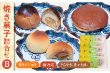 【当店自慢！お菓子詰め合わせ】佐々の 焼き菓子 Bセット 計15個入【栗まんじゅう本舗 小田製菓】 [QAR013]