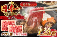 【A4～A5】長崎和牛切り落とし　1.2kg(600g×2p）【株式会社 MEAT PLUS】 [QBS007] 牛肉 肉 国産 切り落し  切りおとし きりおとし 切落とし 和牛 小分け 和食 洋食 カレー 厳選 九州 焼肉 カレー ビーフシチュー 和牛 牛丼
