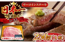 【A4～A5】長崎和牛サーロインステーキ　250g（250g×1枚）【株式会社 MEAT PLUS】 [QBS013] 牛肉 和牛 焼き肉 バーベキュー バーベキュー サーロイン さーろいん 和牛 サーロインステーキ