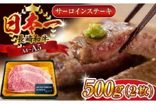 【A4～A5】長崎和牛サーロインステーキセット　500g（250g×2枚）【株式会社 MEAT PLUS】 [QBS014] 牛肉 和牛 焼き肉 バーベキュー バーベキュー サーロイン さーろいん 和牛 サーロインステーキ