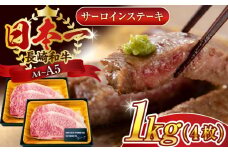 【A4～A5】長崎和牛サーロインステーキセット　1kg（250g×4枚）【株式会社 MEAT PLUS】 [QBS015] 牛肉 和牛 焼き肉 バーベキュー バーベキュー サーロイン さーろいん 和牛 サーロインステーキ