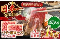 【全3回定期便】【訳あり】【A4～A5】長崎和牛焼肉切り落とし(肩ロース・バラ）　1kg（500g×2p）【株式会社 MEAT PLUS】 [QBS042] 牛肉 肉 国産 切り落し  切りおとし きりおとし 切落とし 和牛 小分け 和食 洋食 カレー 厳選 九州 焼肉 カレー ビーフシチュー 和牛 牛丼 / 長崎県 佐々町