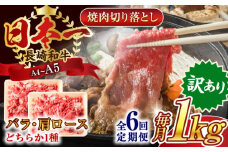 【全6回定期便】【訳あり】【A4～A5】長崎和牛焼肉切り落とし(肩ロース・バラ）　1kg（500g×2p）【株式会社 MEAT PLUS】 [QBS043] 牛肉 肉 国産 切り落し  切りおとし きりおとし 切落とし 和牛 小分け 和食 洋食 カレー 厳選 九州 焼肉 カレー ビーフシチュー 和牛 牛丼