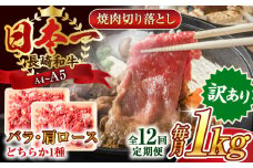 【全12回定期便】【訳あり】【A4～A5】長崎和牛焼肉切り落とし(肩ロース・バラ）　1kg（500g×2p）【株式会社 MEAT PLUS】 [QBS044] 牛肉 肉 国産 切り落し  切りおとし きりおとし 切落とし 和牛 小分け 和食 洋食 カレー 厳選 九州 焼肉 カレー ビーフシチュー 和牛 牛丼