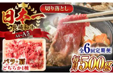 【全6回定期便】【A4～A5】長崎和牛切り落とし　500g【株式会社 MEAT PLUS】 [QBS046] 牛肉 肉 国産 切り落し  切りおとし きりおとし 切落とし 和牛 小分け 和食 洋食 カレー 厳選 九州 焼肉 カレー ビーフシチュー 和牛 牛丼