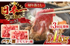 【全3回定期便】【A4～A5】長崎和牛切り落とし　1kg(500g×2p）【株式会社 MEAT PLUS】 [QBS048] 牛肉 肉 国産 切り落し  切りおとし きりおとし 切落とし 和牛 小分け 和食 洋食 カレー 厳選 九州 焼肉 カレー ビーフシチュー 和牛 牛丼
