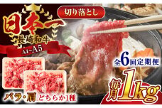 【全6回定期便】【A4～A5】長崎和牛切り落とし　1kg(500g×2p）【株式会社 MEAT PLUS】 [QBS049] 牛肉 肉 国産 切り落し  切りおとし きりおとし 切落とし 和牛 小分け 和食 洋食 カレー 厳選 九州 焼肉 カレー ビーフシチュー 和牛 牛丼