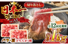 【全12回定期便】【A4～A5】長崎和牛切り落とし　1kg(500g×2p）【株式会社 MEAT PLUS】 [QBS050] 牛肉 肉 国産 切り落し  切りおとし きりおとし 切落とし 和牛 小分け 和食 洋食 カレー 厳選 九州 焼肉 カレー ビーフシチュー 和牛 牛丼