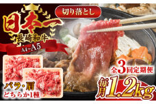 【全3回定期便】【A4～A5】長崎和牛切り落とし　1.2kg(600g×2p）【株式会社 MEAT PLUS】 [QBS051] 牛肉 肉 国産 切り落し  切りおとし きりおとし 切落とし 和牛 小分け 和食 洋食 カレー 厳選 九州 焼肉 カレー ビーフシチュー 和牛 牛丼