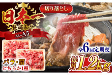 【全6回定期便】【A4～A5】長崎和牛切り落とし　1.2kg(600g×2p）【株式会社 MEAT PLUS】 [QBS052] 牛肉 肉 国産 切り落し  切りおとし きりおとし 切落とし 和牛 小分け 和食 洋食 カレー 厳選 九州 焼肉 カレー ビーフシチュー 和牛 牛丼