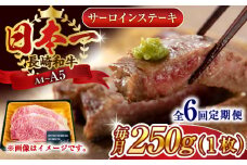 【全6回定期便】【A4～A5】長崎和牛サーロインステーキ　250g（250g×1枚）【株式会社 MEAT PLUS】 [QBS070] 牛肉 和牛 焼き肉 バーベキュー バーベキュー サーロイン さーろいん 和牛 サーロインステーキ