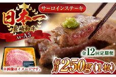 【全12回定期便】【A4～A5】長崎和牛サーロインステーキ　250g（250g×1枚）【株式会社 MEAT PLUS】 [QBS071] 牛肉 和牛 焼き肉 バーベキュー バーベキュー サーロイン さーろいん 和牛 サーロインステーキ