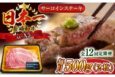 【全12回定期便】【A4～A5】長崎和牛サーロインステーキセット　500g（250g×2枚）【株式会社 MEAT PLUS】 [QBS074] 牛肉 和牛 焼き肉 バーベキュー バーベキュー サーロイン さーろいん 和牛 サーロインステーキ