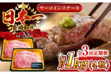 【全3回定期便】【A4～A5】長崎和牛サーロインステーキセット　1kg（250g×4枚）【株式会社 MEAT PLUS】 [QBS075] 牛肉 和牛 焼き肉 バーベキュー バーベキュー サーロイン さーろいん 和牛 サーロインステーキ