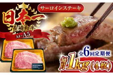 【全6回定期便】【A4～A5】長崎和牛サーロインステーキセット　1kg（250g×4枚）【株式会社 MEAT PLUS】 [QBS076] 牛肉 和牛 焼き肉 バーベキュー バーベキュー サーロイン さーろいん 和牛 サーロインステーキ