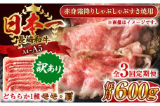 【全3回定期便】【訳あり】【A4～A5】長崎和牛赤身霜降りしゃぶしゃぶすき焼き用（肩・モモ）600g【株式会社 MEAT PLUS】 [QBS096] 牛肉 切り落とし しゃぶしゃぶ すき焼き 長崎和牛 赤身