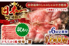 【全6回定期便】【訳あり】【A4～A5】長崎和牛赤身霜降りしゃぶしゃぶすき焼き用（肩・モモ）600g【株式会社 MEAT PLUS】 [QBS097] 牛肉 切り落とし しゃぶしゃぶ すき焼き 長崎和牛 赤身