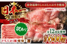 【全12回定期便】【訳あり】【A4～A5】長崎和牛赤身霜降りしゃぶしゃぶすき焼き用（肩・モモ）600g【株式会社 MEAT PLUS】 [QBS098] 牛肉 切り落とし しゃぶしゃぶ すき焼き 長崎和牛 赤身