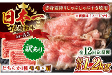 【全12回定期便】【訳あり】【A4～A5】長崎和牛赤身霜降りしゃぶしゃぶすき焼き用（肩・モモ）1.2kg(600g×2p)【株式会社 MEAT PLUS】 [QBS104] 牛肉 切り落とし しゃぶしゃぶ すき焼き 長崎和牛 赤身