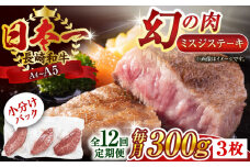 【全12回定期便】【厳選希少部位】【A4～A5】長崎和牛ミスジステーキ　約300g（100g×3p）【株式会社 MEAT PLUS】 [QBS119] 冷凍 ステーキ ミスジ みすじ 希少部位 ブランド牛 長崎和牛 国産 和牛