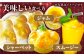 【冷凍】プリンセスマンゴー 約1kg [QAT013] 冷凍マンゴー マンゴー フルーツ 冷凍 マンゴー フルーツ 冷凍マンゴー