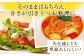 トマト とまと トマト フルーツトマト 野菜 人気 贈答 ギフト プレゼント