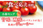 トマト とまと トマト フルーツトマト 野菜 人気 贈答 ギフト プレゼント